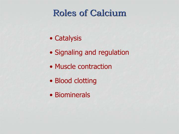 roles of calcium