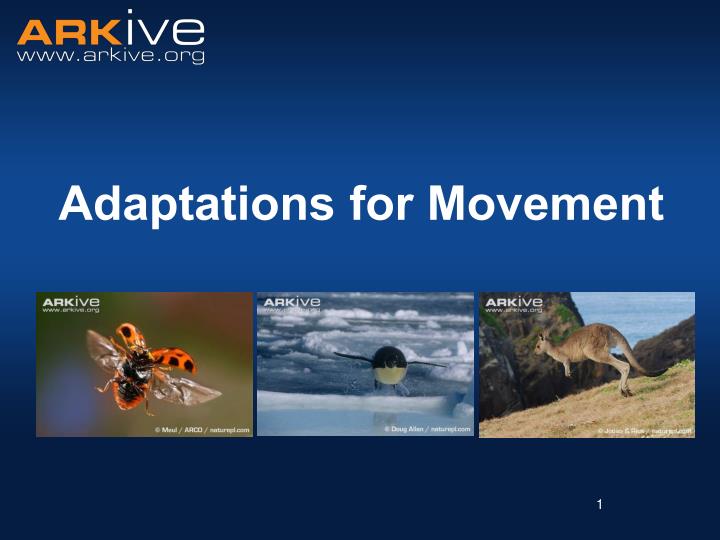 adaptations for movement