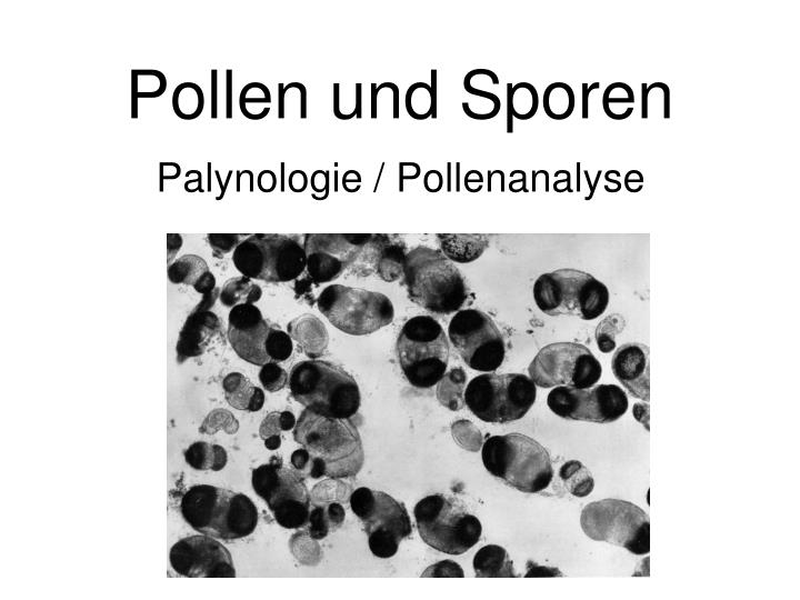 pollen und sporen