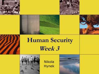Human Security Week 3