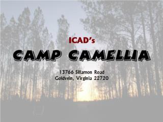 Camp Camellia will provide : Artistic inspiration Art classes and workshops Art exhibitions
