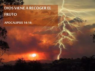 DIOS VIENE A RECOGER EL FRUTO APOCALIPSIS 14:14-