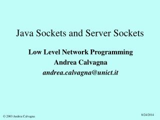 Java Sockets and Server Sockets