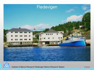 fl devigen