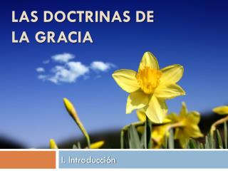 las doctrinas de la gracia