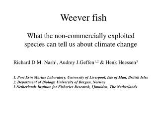Weever fish