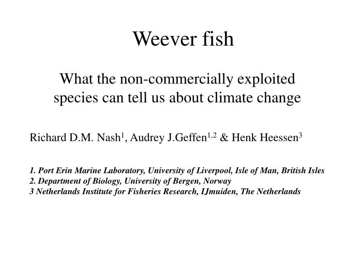 weever fish
