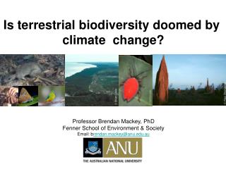 Is terrestrial biodiversity doomed by climate change?