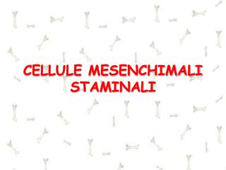 cellule mesenchimali staminali