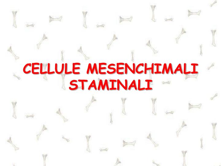 cellule mesenchimali staminali