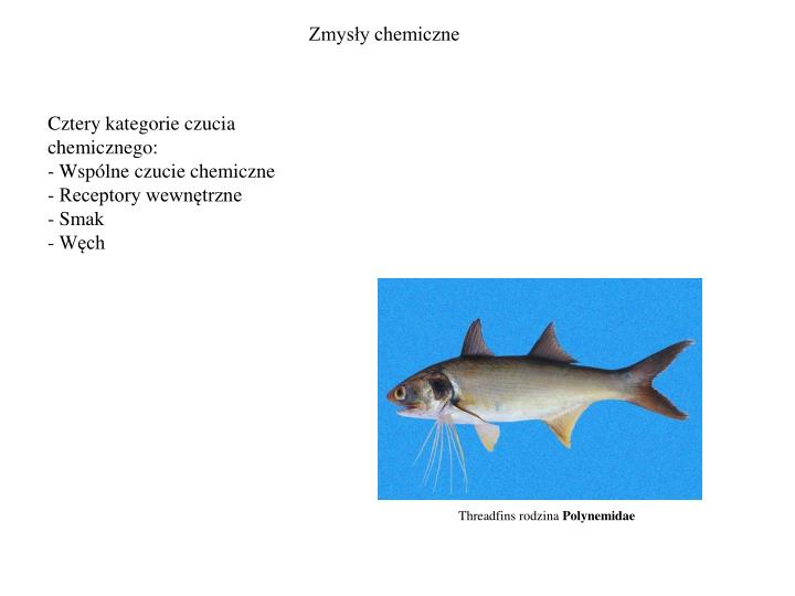 zmys y chemiczne