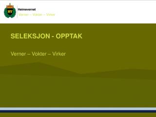 seleksjon opptak