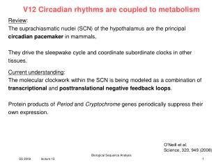V12 Circadian rhythms are coupled to metabolism