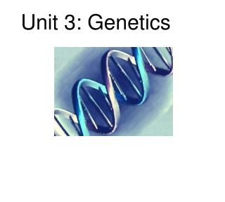 Unit 3: Genetics