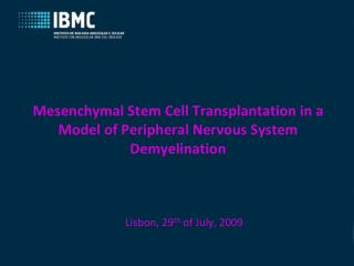 Mesenchymal Stem Cell Transplantation in a Model of Peripheral Nervous System Demyelination