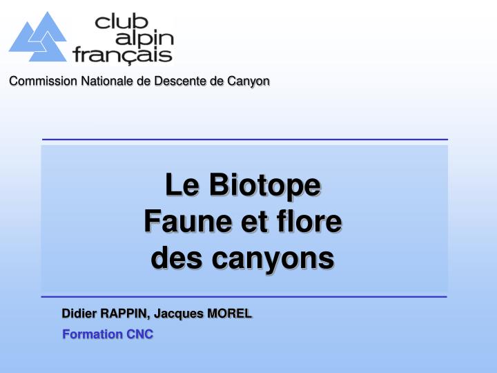 le biotope faune et flore des canyons