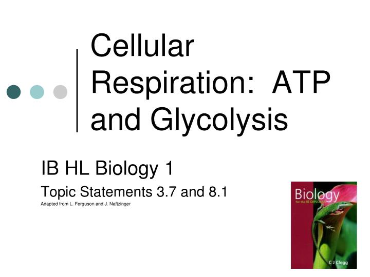 cellular respiration atp and glycolysis