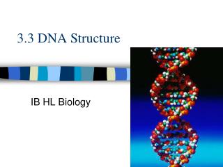 3.3 DNA Structure