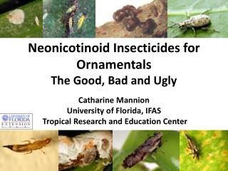 Neonicotinoid Insecticides for Ornamentals The Good, Bad and Ugly Catharine Mannion