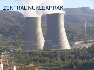 zentral nuklearrak