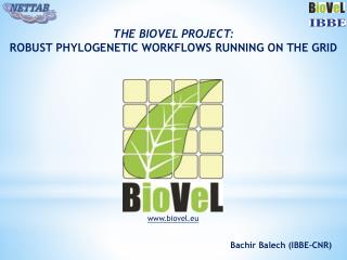 The Biovel Project: Robust phylogenetic workflows running on the GRID