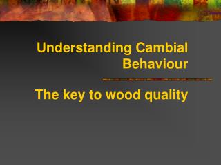 Understanding Cambial Behaviour The key to wood quality