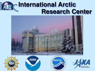 International Arctic