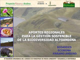 bioandes ecobona p ramo andino