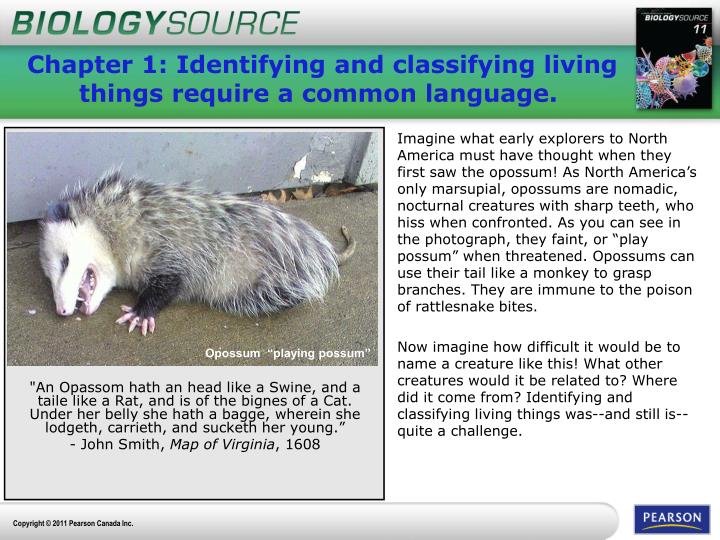 chapter 1 identifying and classifying living things require a common language