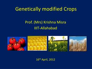 Genetically modified Crops