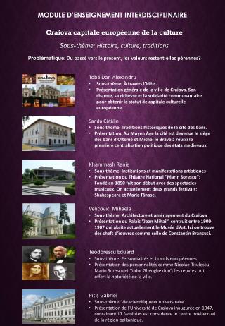 module d enseignement interdisciplinaire
