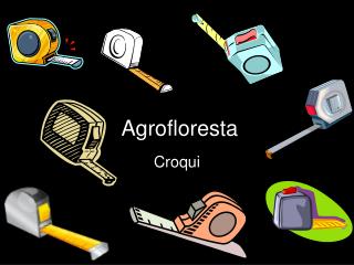 agrofloresta
