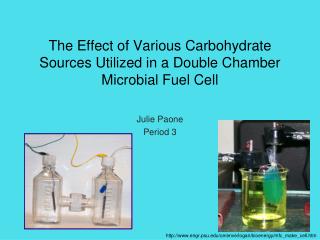 The Effect of Various Carbohydrate Sources Utilized in a Double Chamber Microbial Fuel Cell