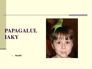 papagalul iaky