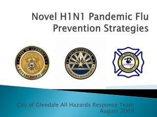 Novel H1N1 Pandemic Flu Prevention Strategies