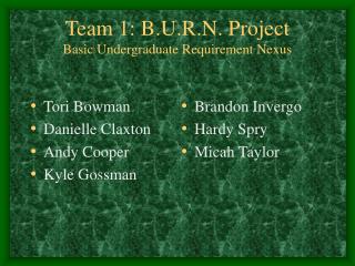 Team 1: B.U.R.N. Project Basic Undergraduate Requirement Nexus