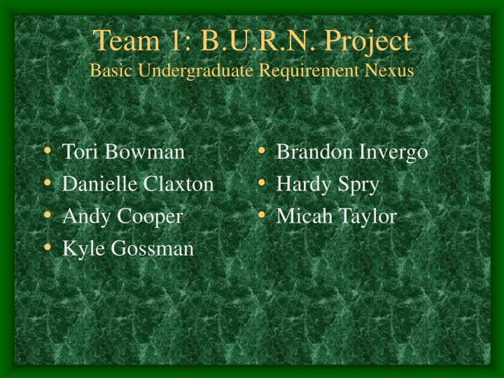team 1 b u r n project basic undergraduate requirement nexus