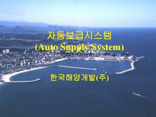 auto supply system