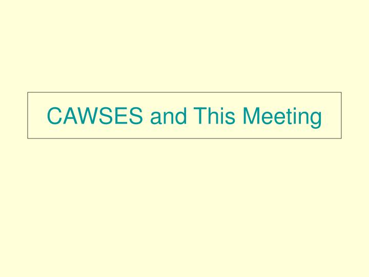 cawses and this meeting
