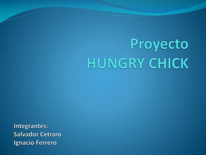 proyecto hungry chick