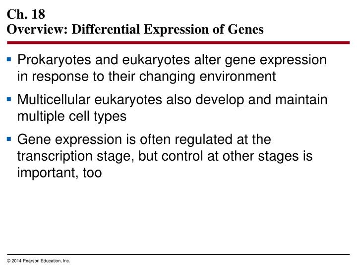 ch 18 overview differential expression of genes