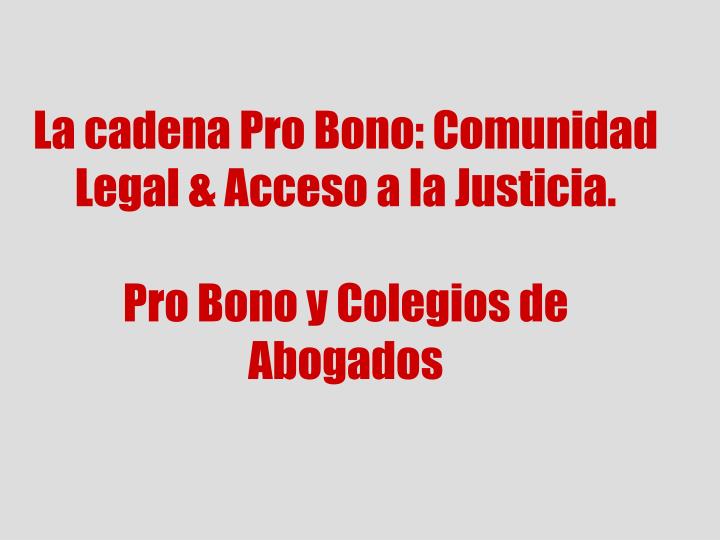 la cadena pro bono comunidad legal acceso a la justicia pro bono y colegios de abogados