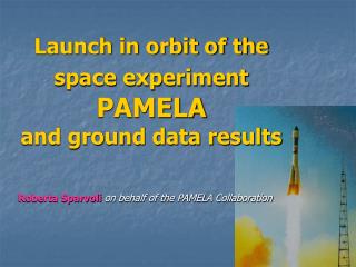Launch in orbit of the space experiment PAMELA and ground data results