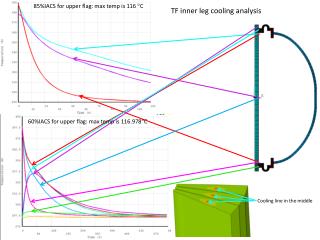 TF inner leg cooling analysis