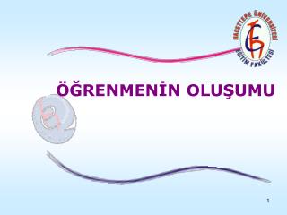 renmen n olu umu