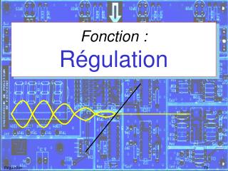 fonction r gulation