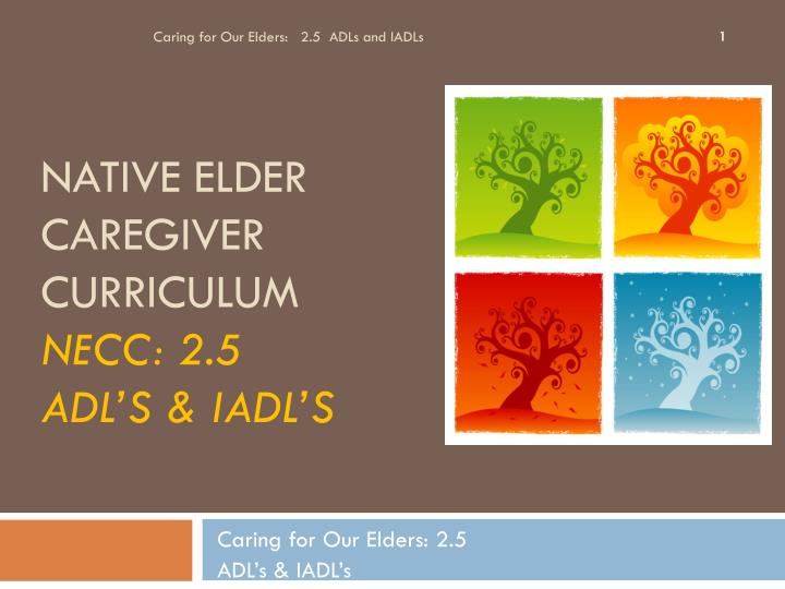 native elder caregiver curriculum necc 2 5 adl s iadl s