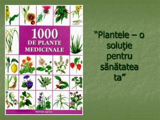 “Plantele – o soluţie pentru sănătatea ta”