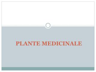 plante medicinale