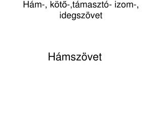 Hám-, kötő-,támasztó- izom-, idegszövet